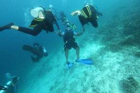 Scuba Inn